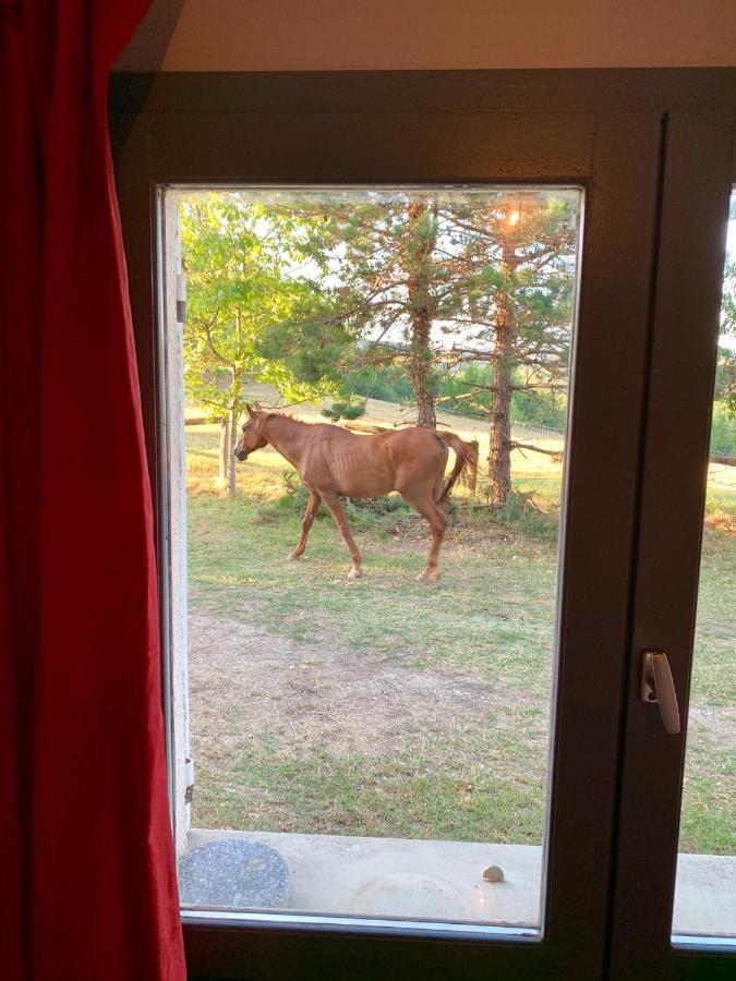 La Meyssonnie Acomodação com café da manhã Damiatte Exterior foto